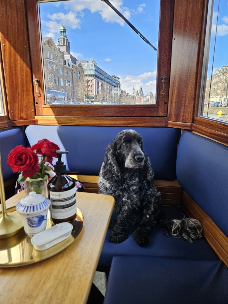 pet friendly canal cruise amsterdam