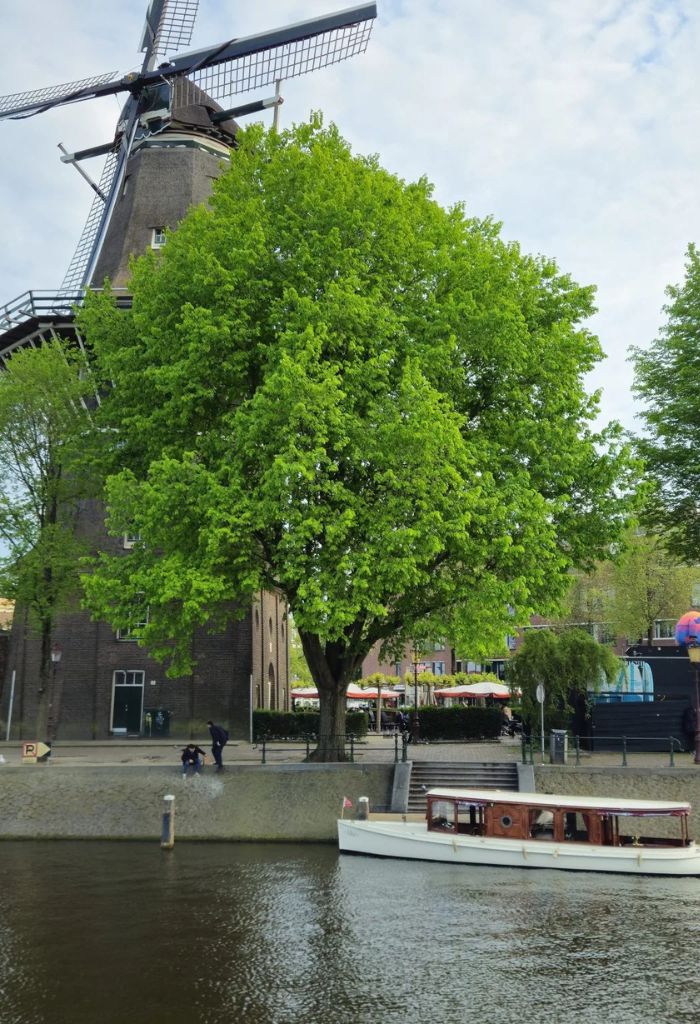 Amsterdam windmill tour and private boat tour