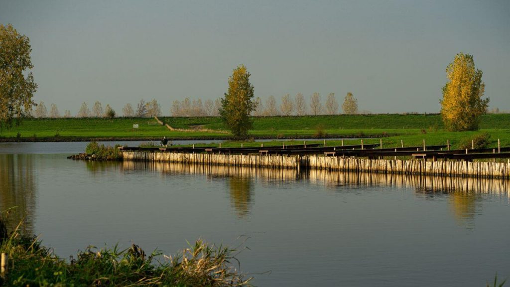 best things to do in amsterdam netherlands at park
