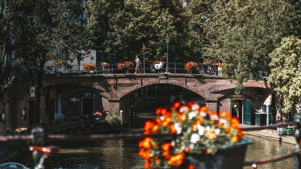 Janskerkhof Flower Markets in utrecht