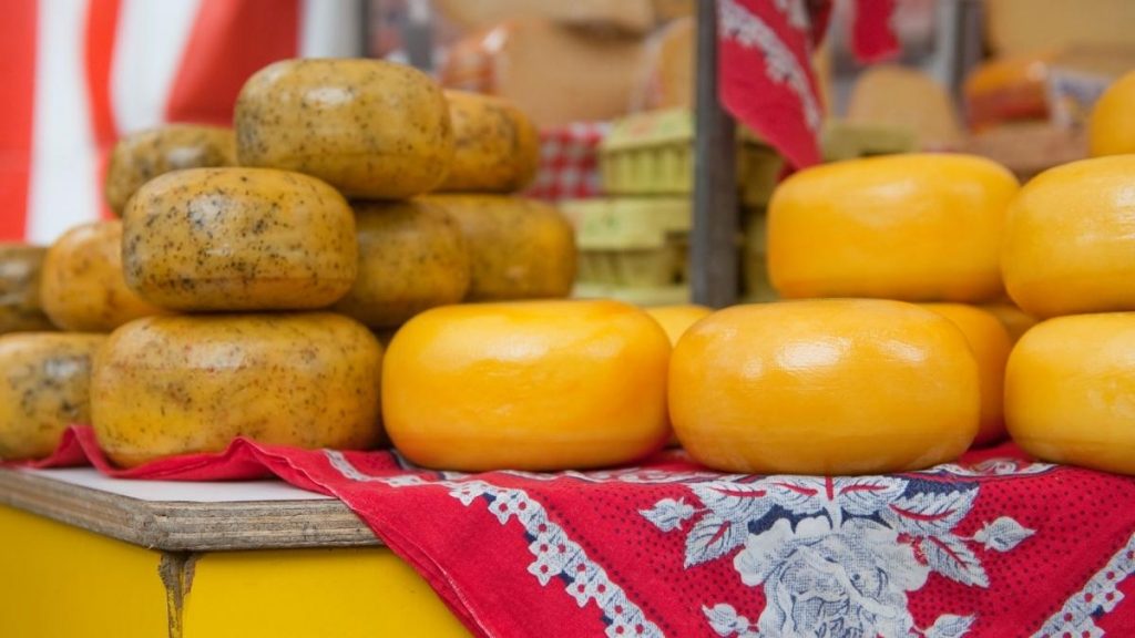 dutch Gouda cheese
