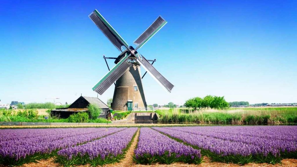 iconic windmills Amsterdam