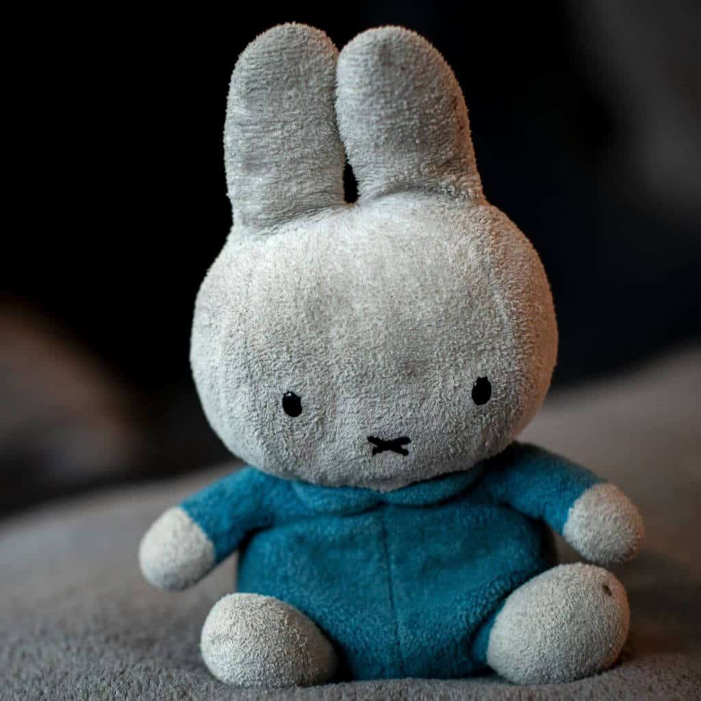 what to see in Utrecht: Visit the Miffy Museum