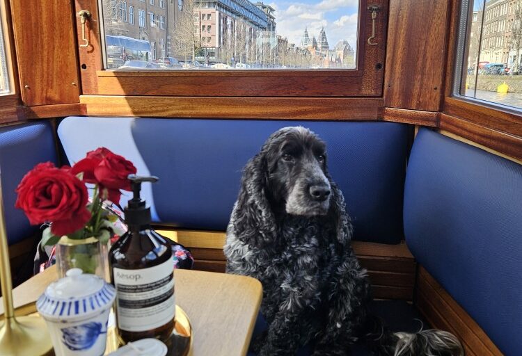 Dog Friendly Restaurants Amsterdam: Spots Your Pup Will Love dog-friendly dinner cruise amsterdam