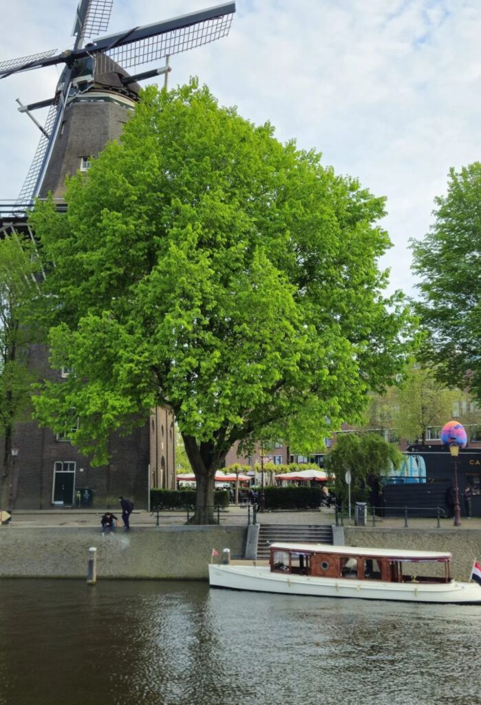 zaanse schans day trip