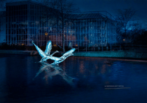 1.5hrs Amsterdam Light Festival Cruise with welcome drink