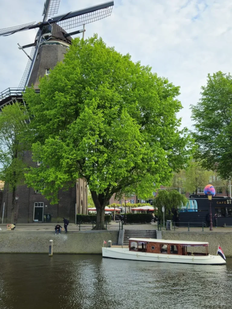 Molino de viento del Ritz Saloonboot de Ámsterdam